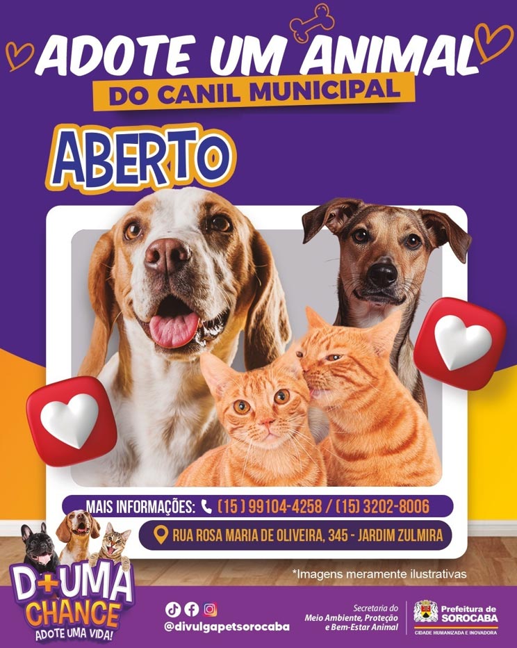 Adoção de Cães e Gatos em Sorocaba