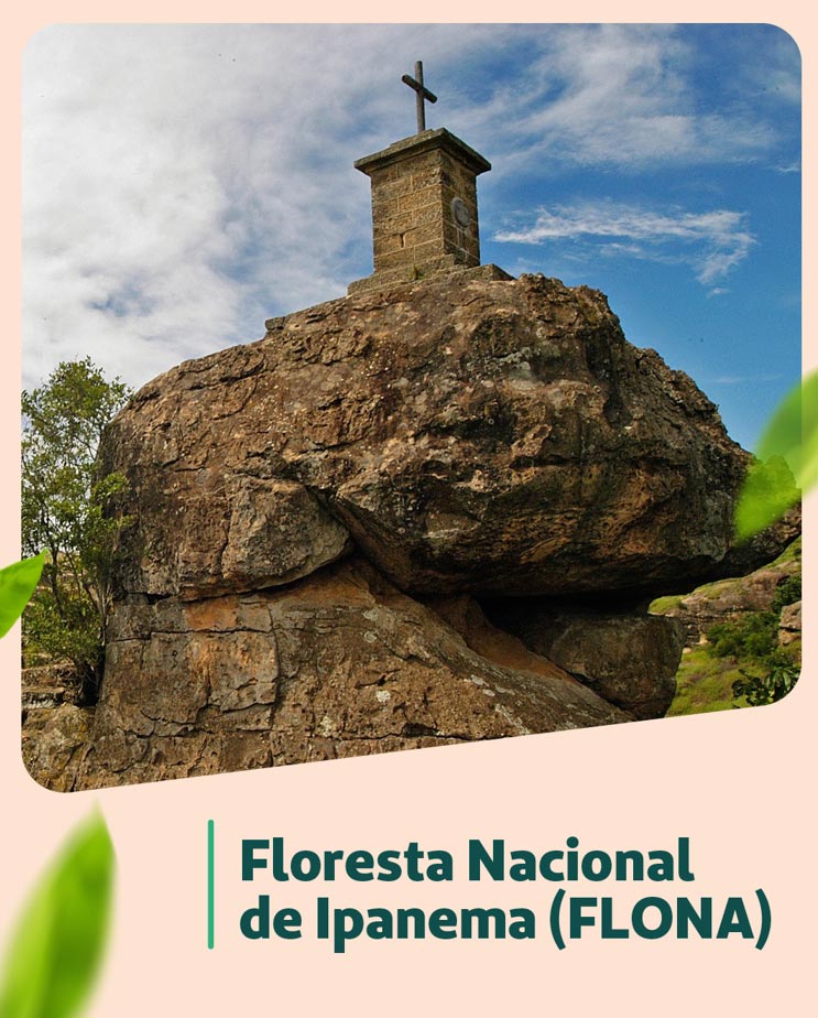 Floresta Nacional de Ipanema (Flona)